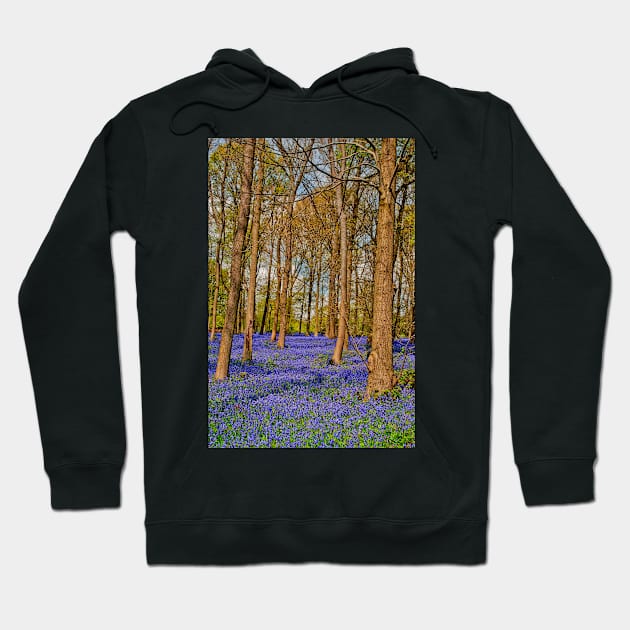 Bluebell Woods Greys Court Oxfordshire England Hoodie by AndyEvansPhotos